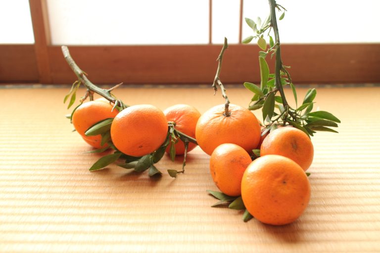 oranges lukam