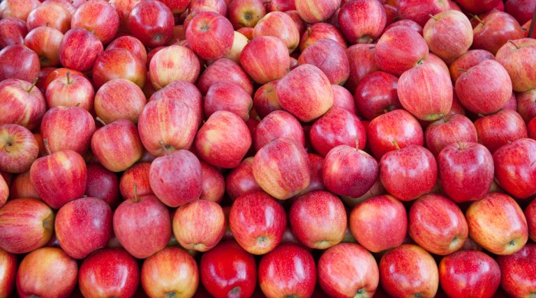 Fuji Apple